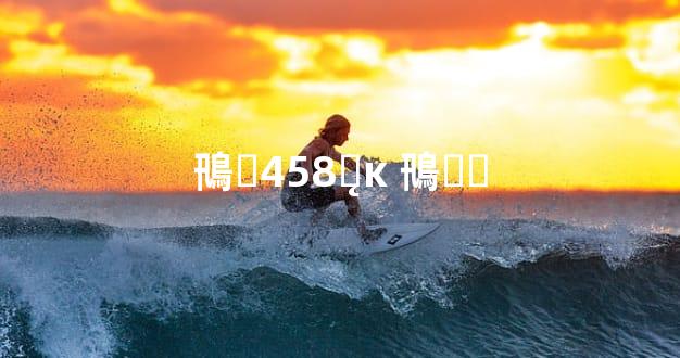 鳵ⷨ458ƽ̨ĸ 鳵޼۸